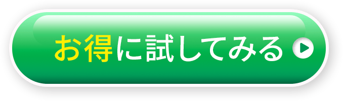 お得に試してみる