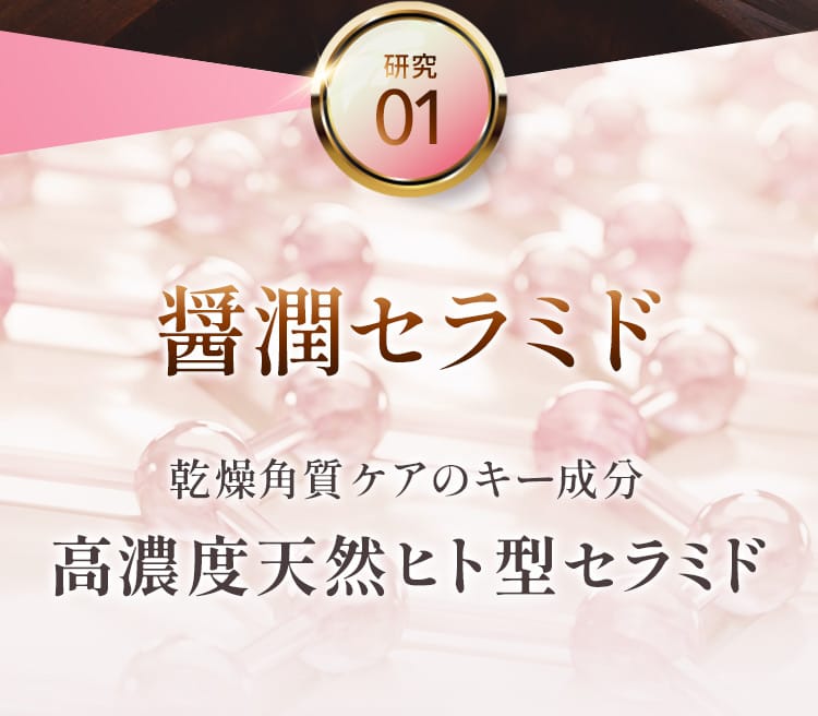 研究01 醤潤セラミド 乾燥角質ケアのキー成分 高濃度天然ヒト型セラミド