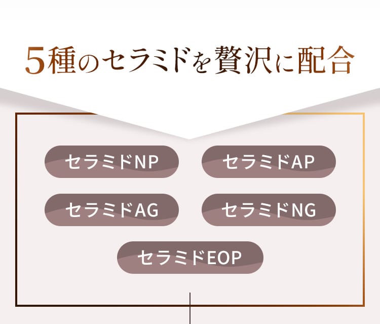 5種のセラミドを潤沢に配合 セラミドNP セラミドAP セラミドAG セラミドNG セラミドEOP