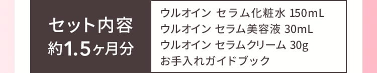 セット内容