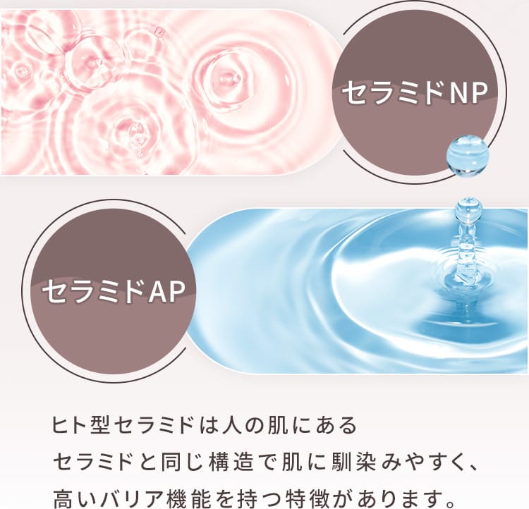 セラミドAP,セラミドNP