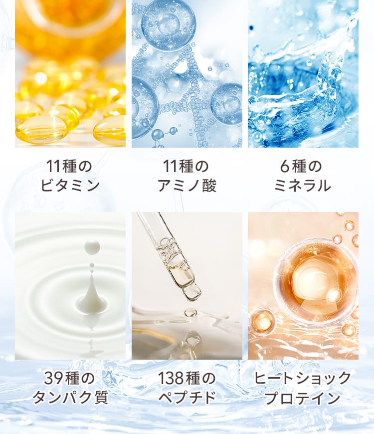 11種のビタミン,11種のアミノ酸,6種のミネラル