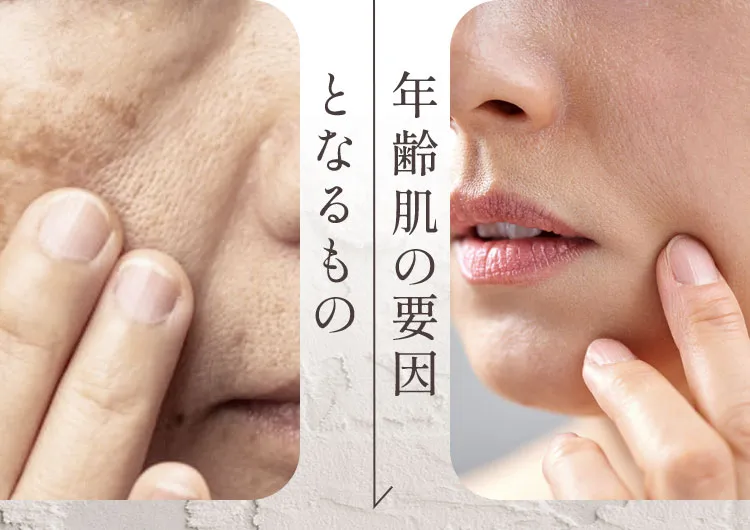 年齢肌の要因となるもの